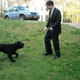 A much younger Lucy and E90M3, circa 2010.